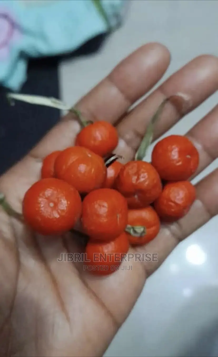 Nigerian Eggplant