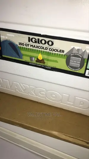 Ice Chest for Occasion