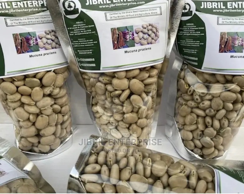 White Mucuna Pruriens, White Velvet Beans