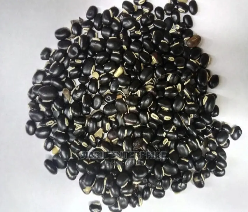Black Mucuna Pruriens (Black Velvet Beans)