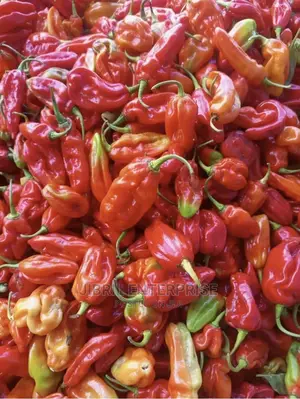 Ghost Pepper, Nmoko Hwem(Flavored Pepper)
