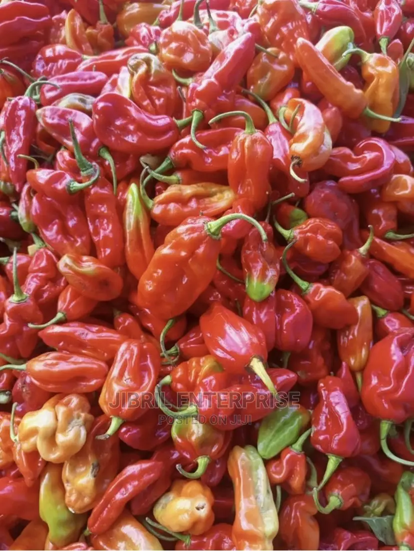 Ghost Pepper