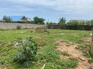 One Plot for Sale