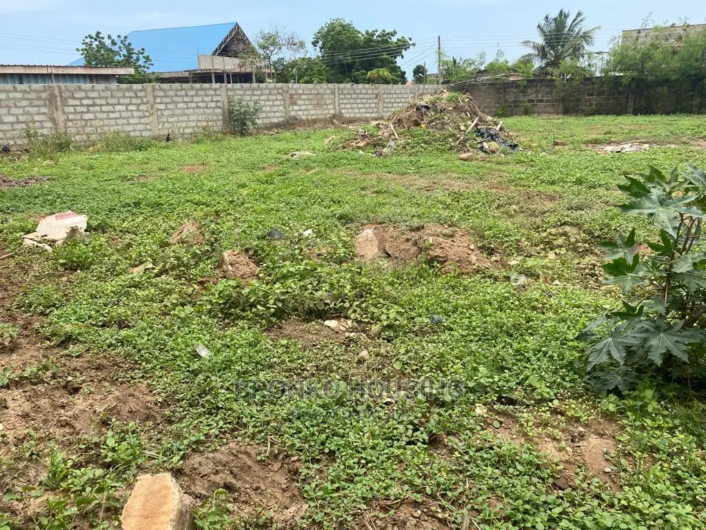 One Plot for Sale