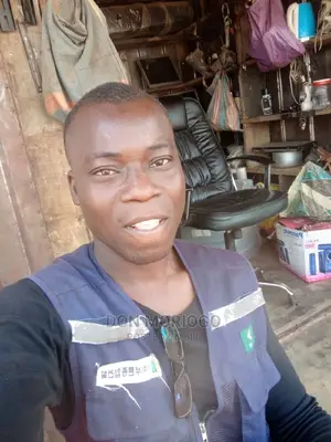 Electronics and Electrical Engineers
