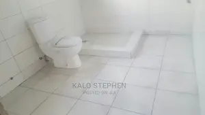 Professional Tiles Layer