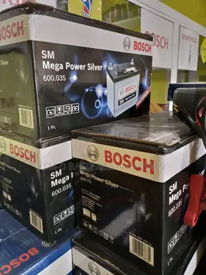 100ah Bosch Battery 60038 12volts Battery