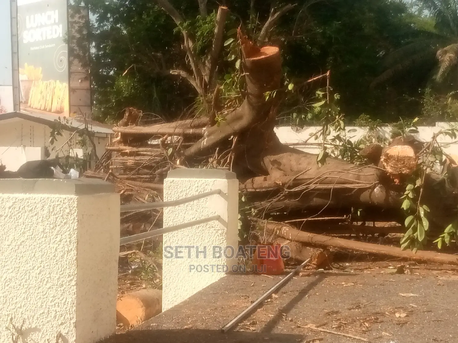Chain Saw Operator Service