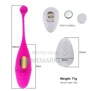 Lush 2 Vibrator, Panties Wearable G-Spot Clitoris Sex Toy