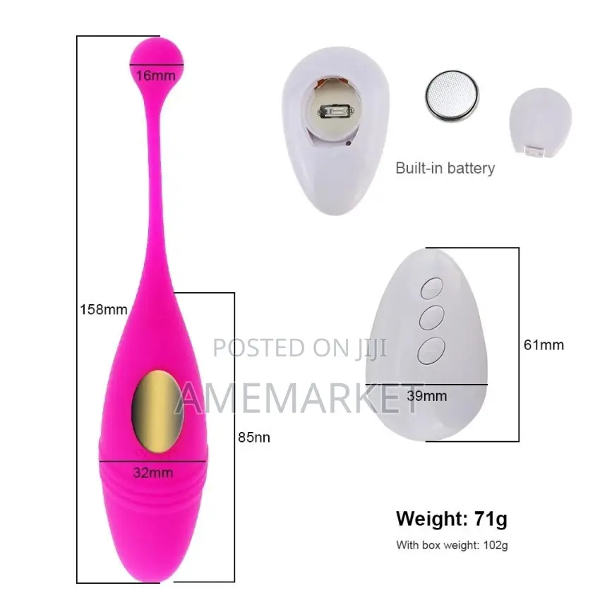 Lush 2 Vibrator, Panties Wearable G-Spot Clitoris Sex Toy