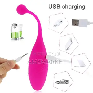 Lush 2 Vibrator, Panties Wearable G-Spot Clitoris Sex Toy