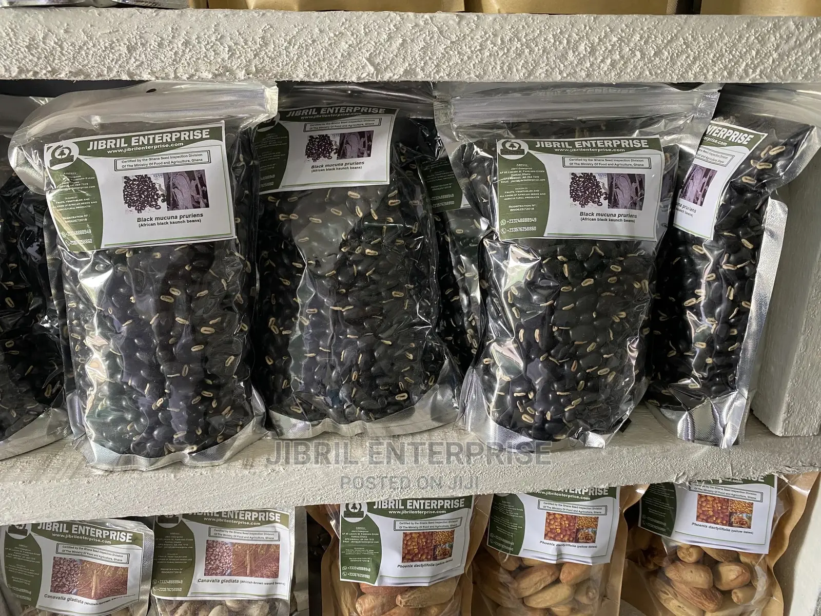 Black Mucuna Pruriens (Black Velvet Beans)