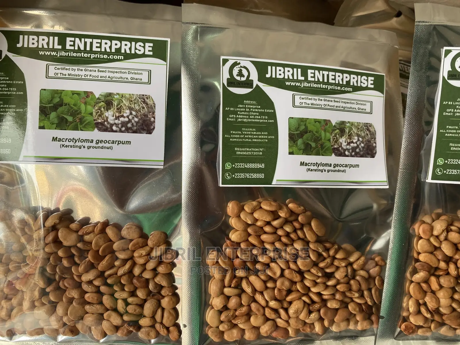Brown Kersting’S Groundnut (Macrotyloma Geocarpum)