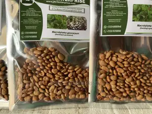 Brown Kersting’S Groundnut (Macrotyloma Geocarpum)
