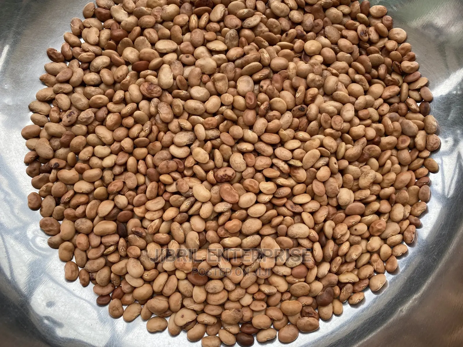 Brown Kersting’S Groundnut (Macrotyloma Geocarpum)