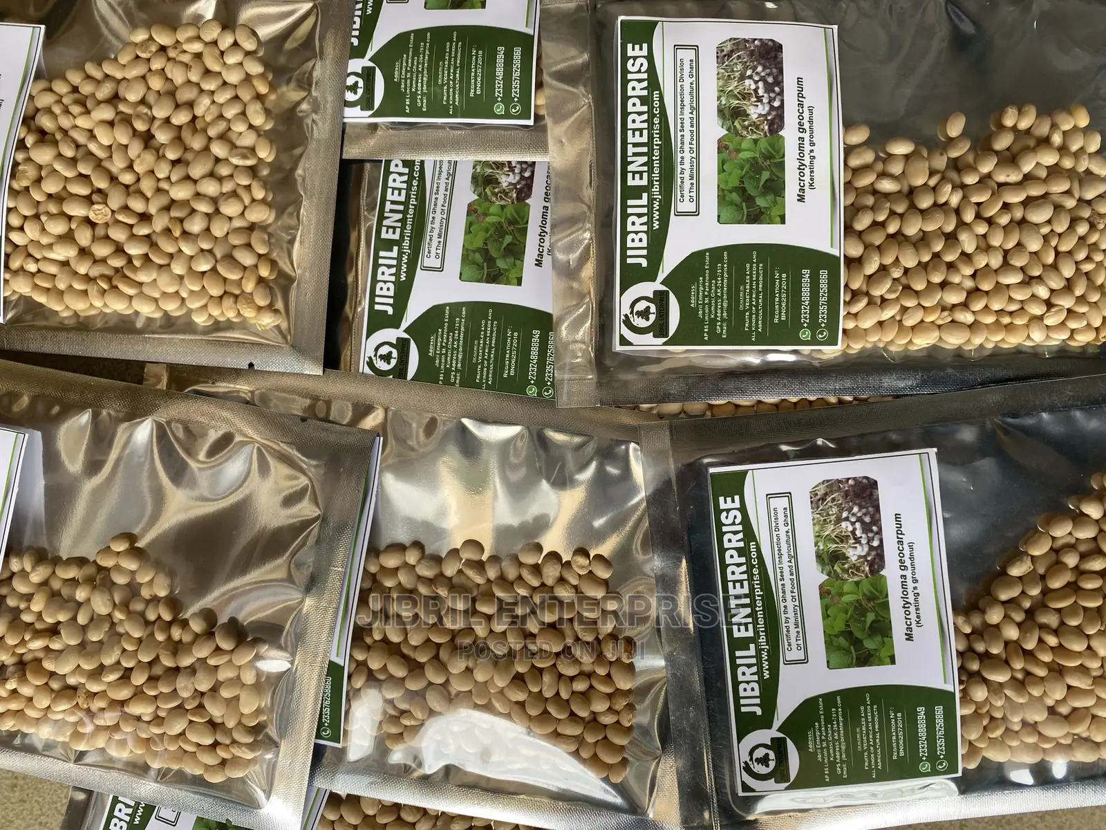 Macrotyloma Geocarpum(Kersting’S Groundnut)