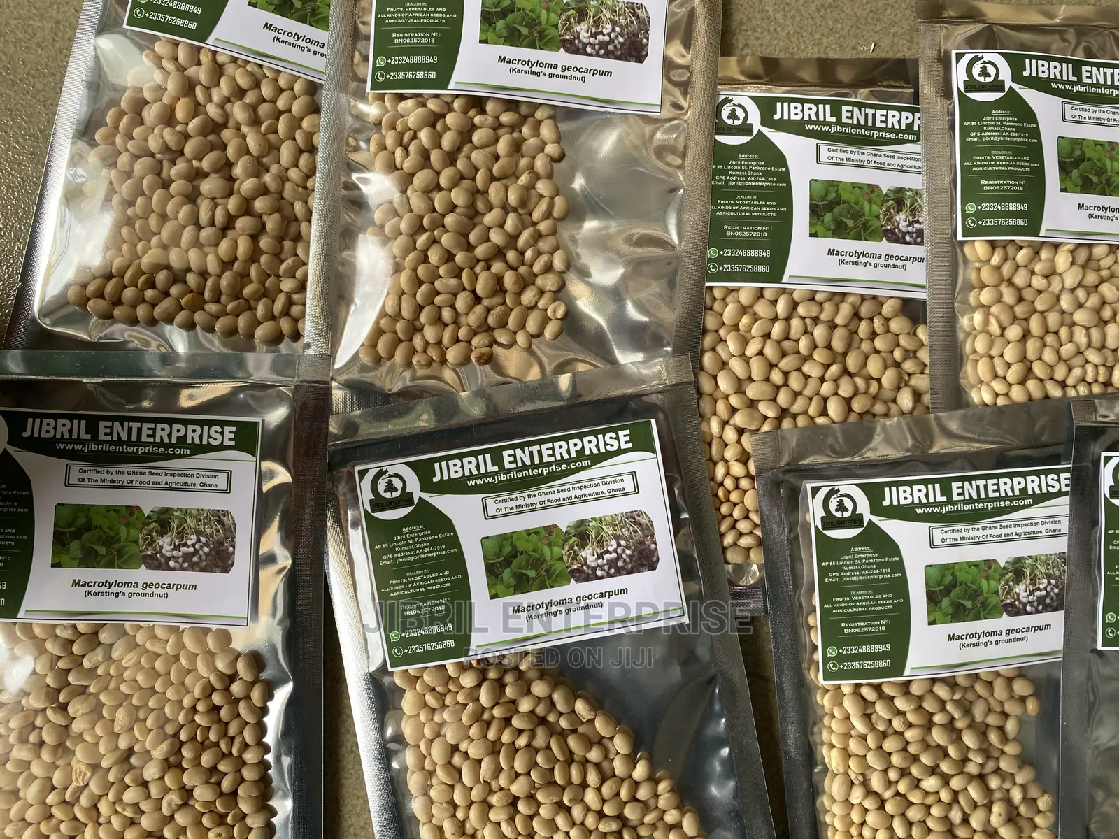 Macrotyloma Geocarpum(Kersting’S Groundnut)