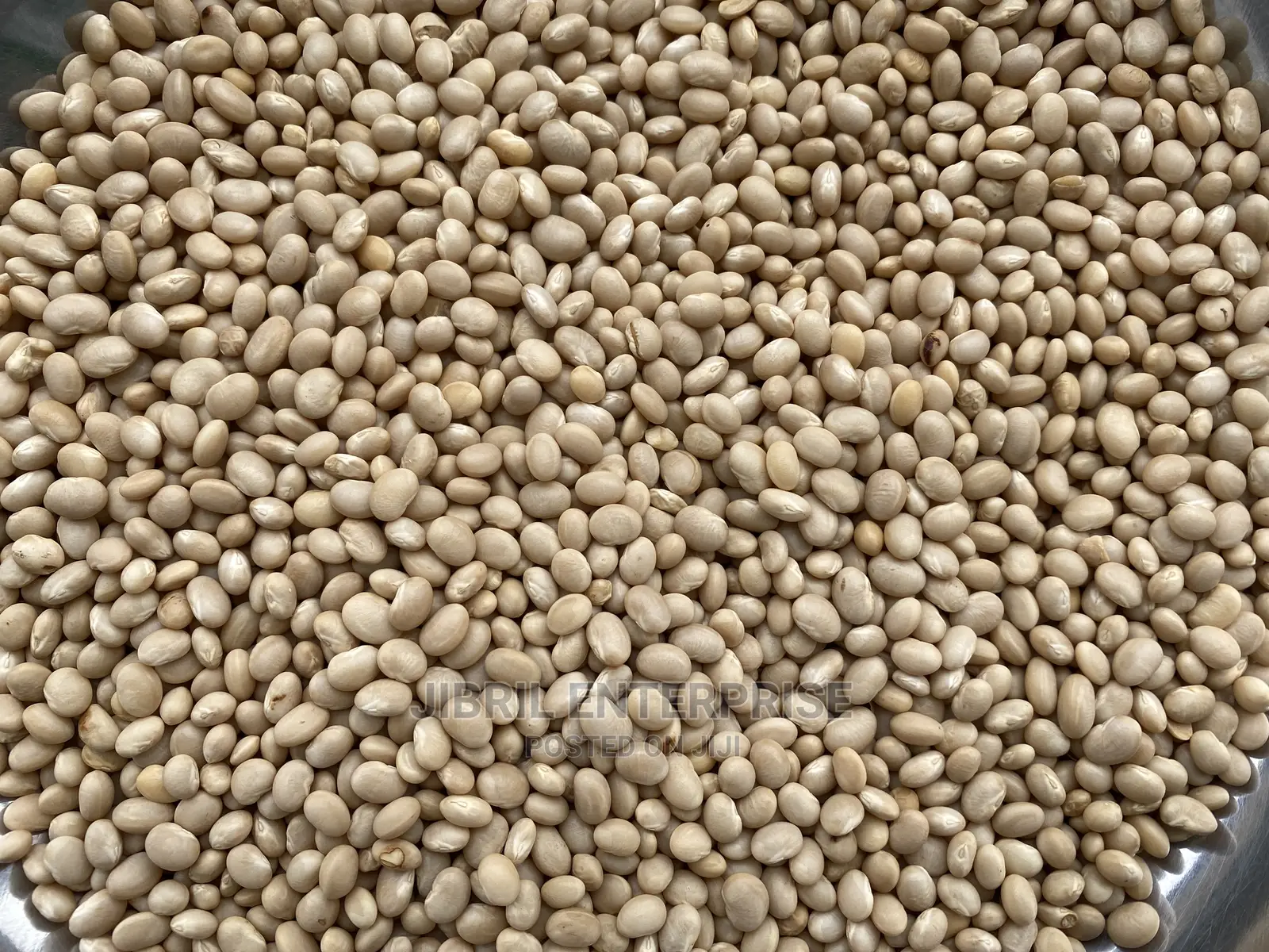Macrotyloma Geocarpum(Kersting’S Groundnut)