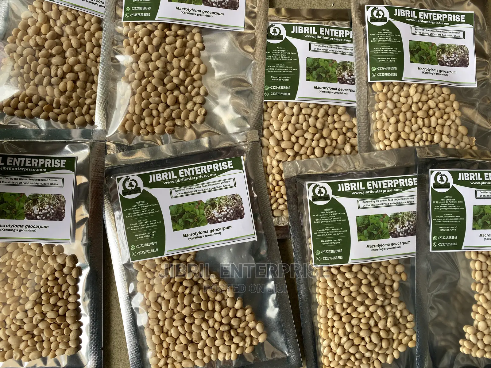 Macrotyloma Geocarpum(Kersting’S Groundnut)