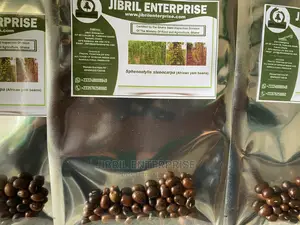 African Yam Beans(Sphenostylis Stenocarpa)