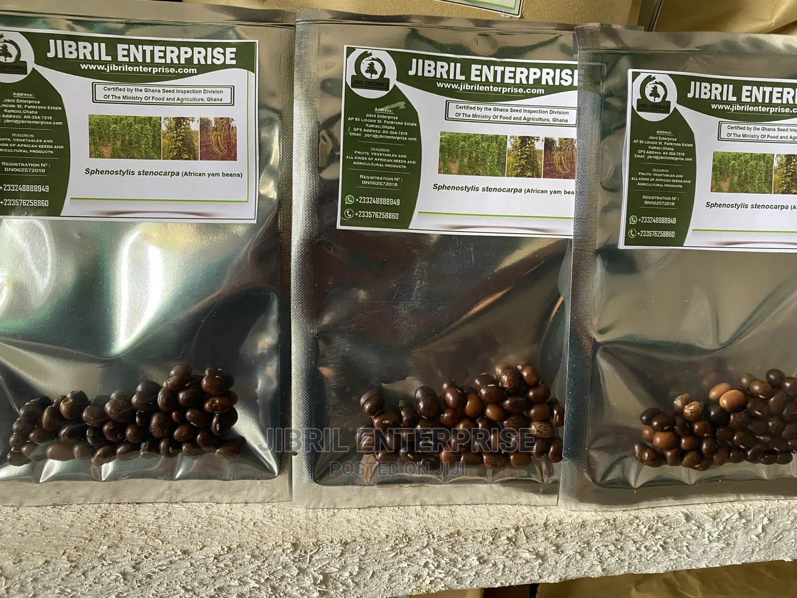 African Yam Beans(Sphenostylis Stenocarpa)