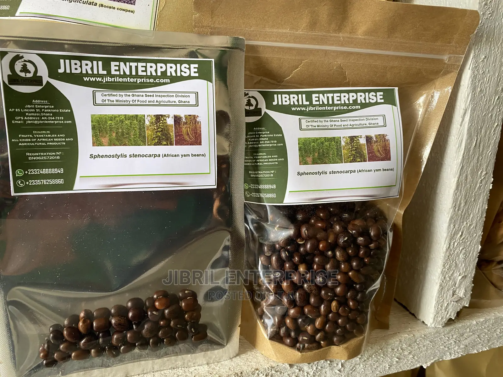 African Yam Beans(Sphenostylis Stenocarpa)