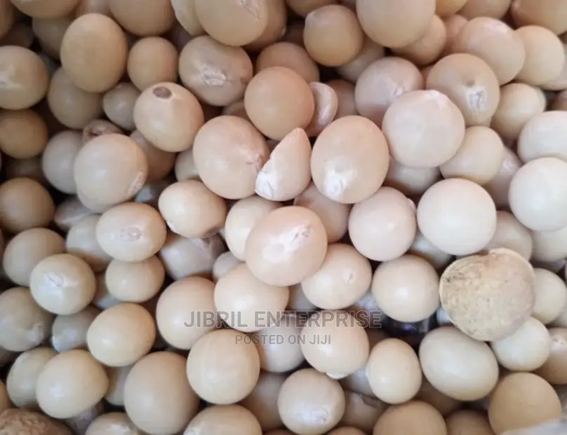 Nigerien Yellow Bambara Beans