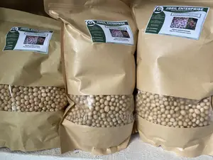 Nigerien Yellow Bambara Beans