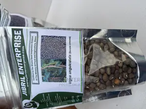 Bocate Cowpea