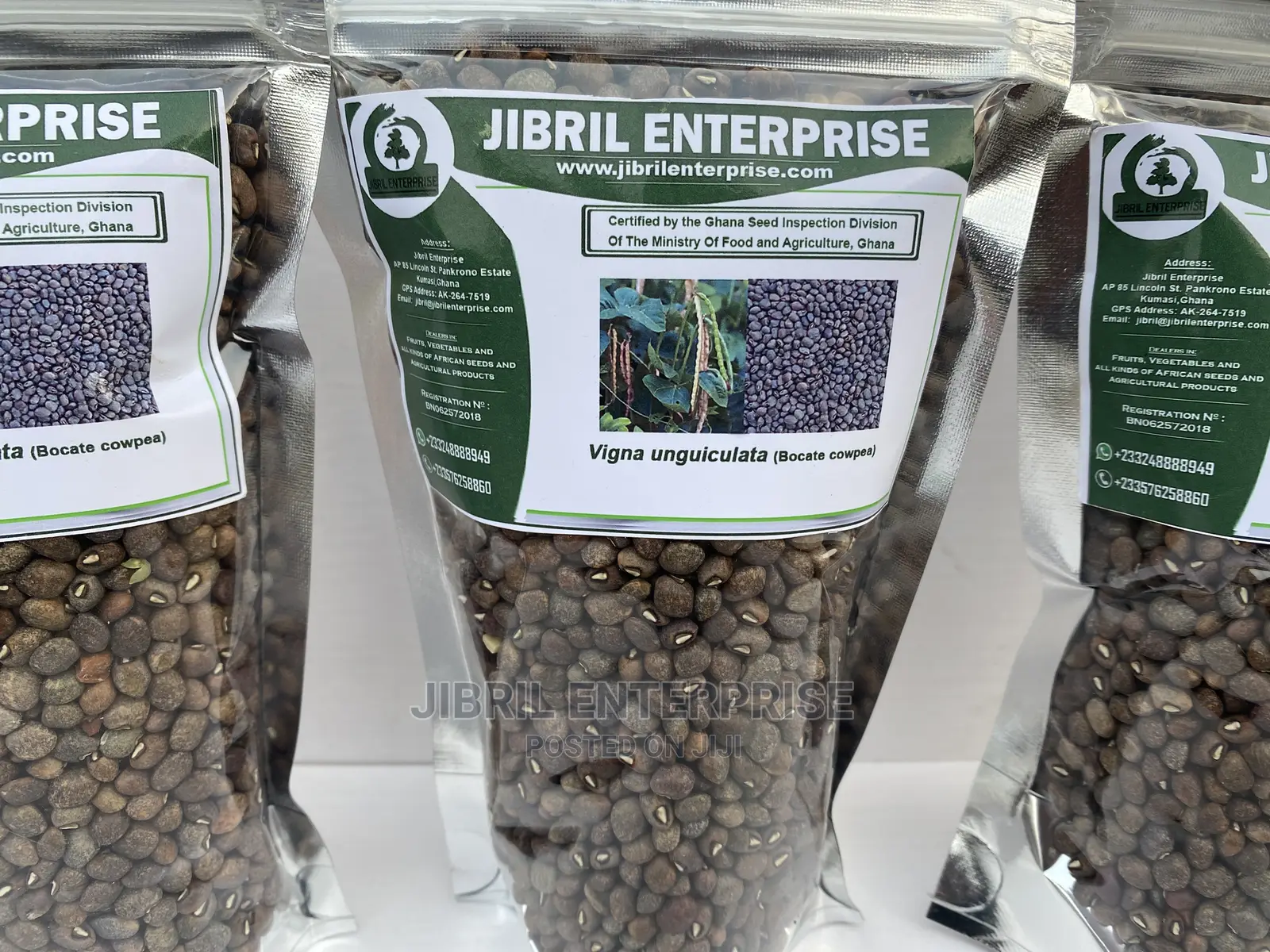 Bocate Cowpea