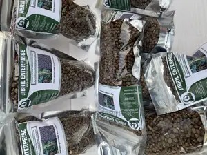 Bocate Cowpea