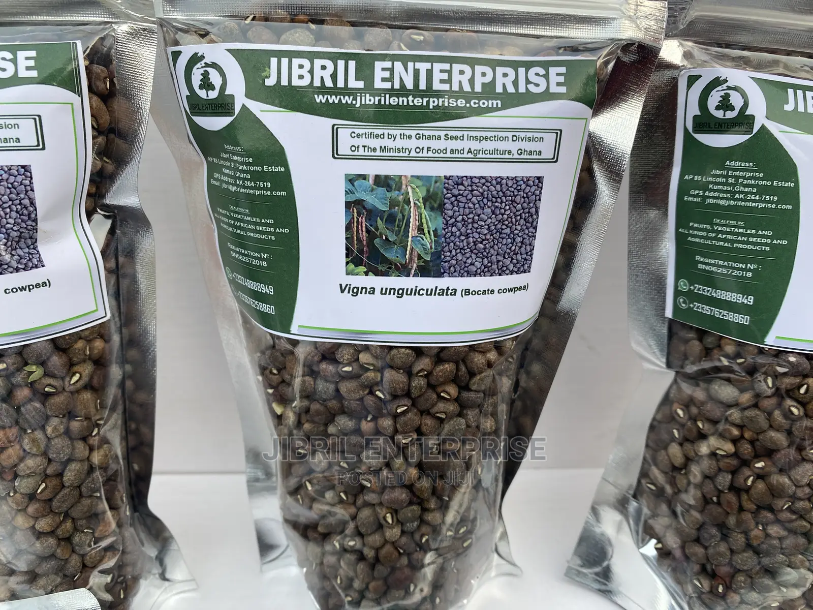 Bocate Cowpea
