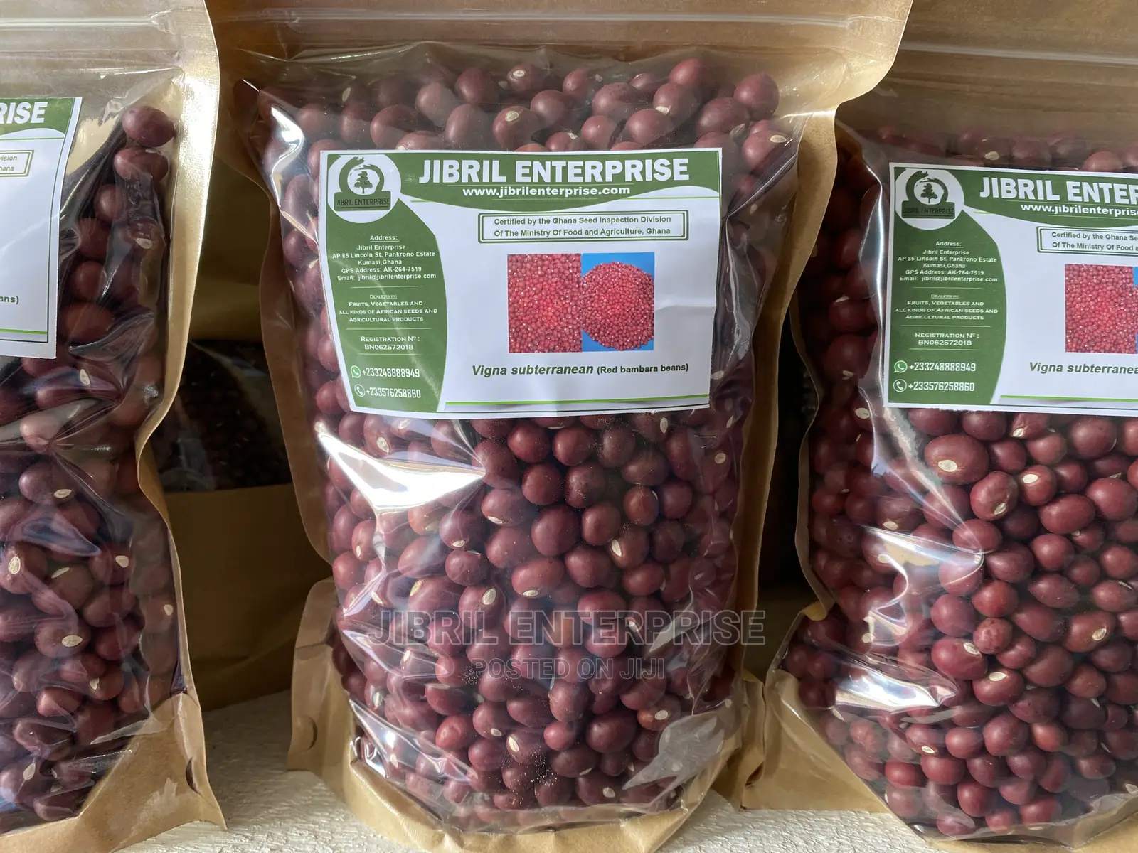Red Bambara Bean(Vigna Subterranean)