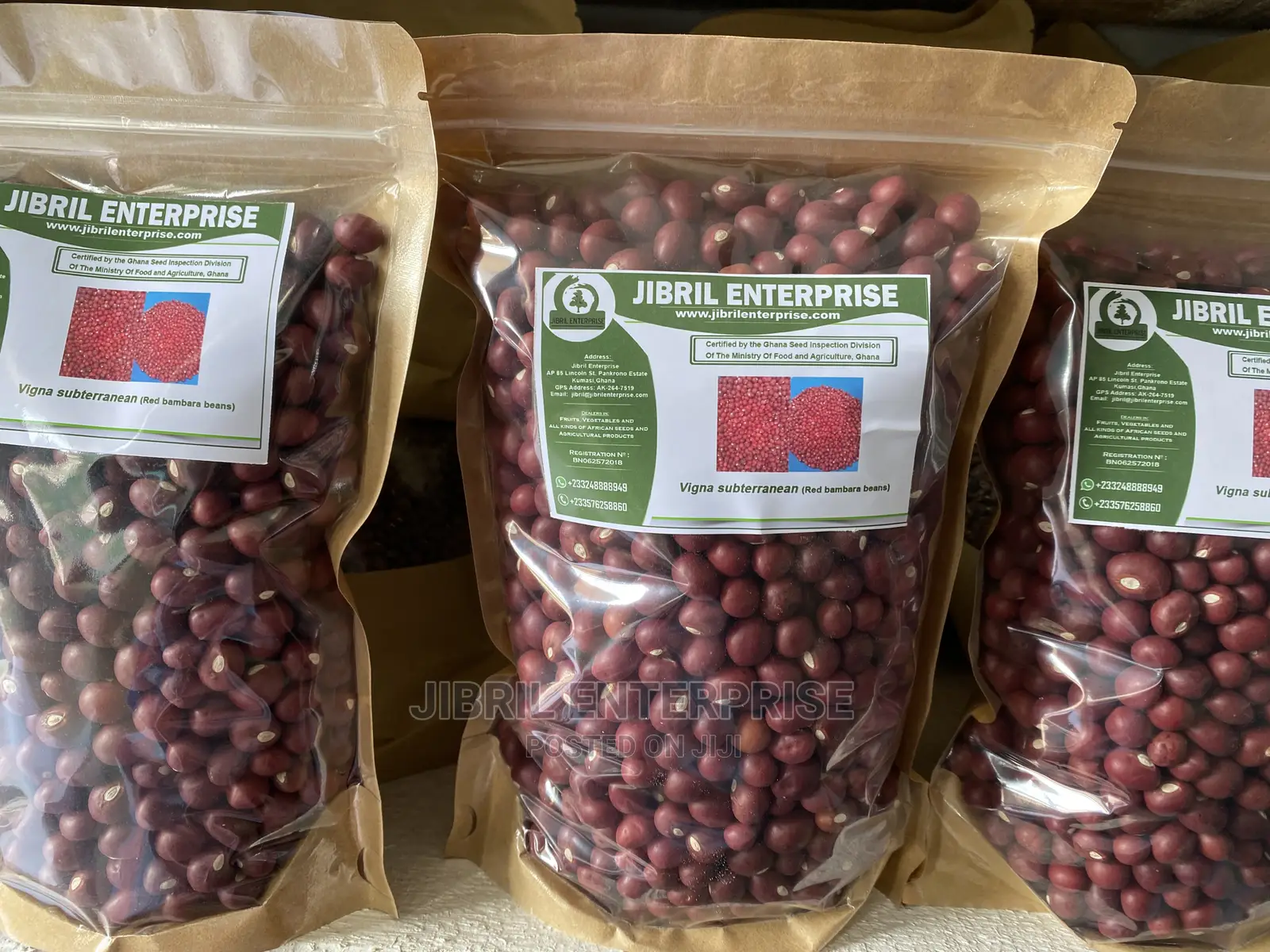 Red Bambara Bean(Vigna Subterranean)