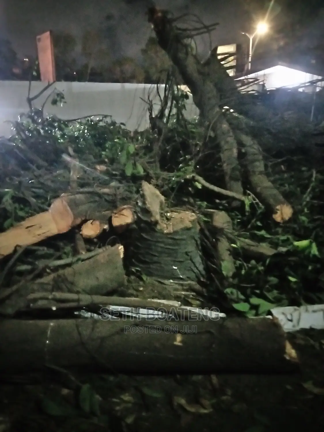 Chain Saw Operation