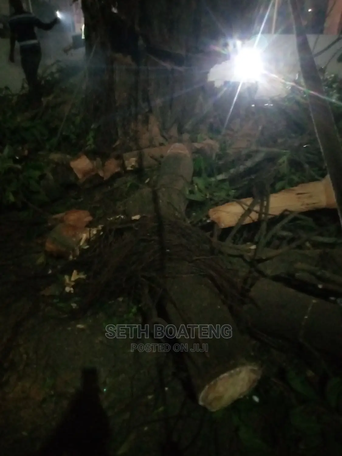 Chain Saw Operation