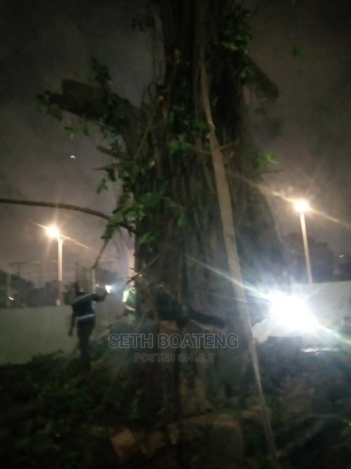 Chain Saw Operation