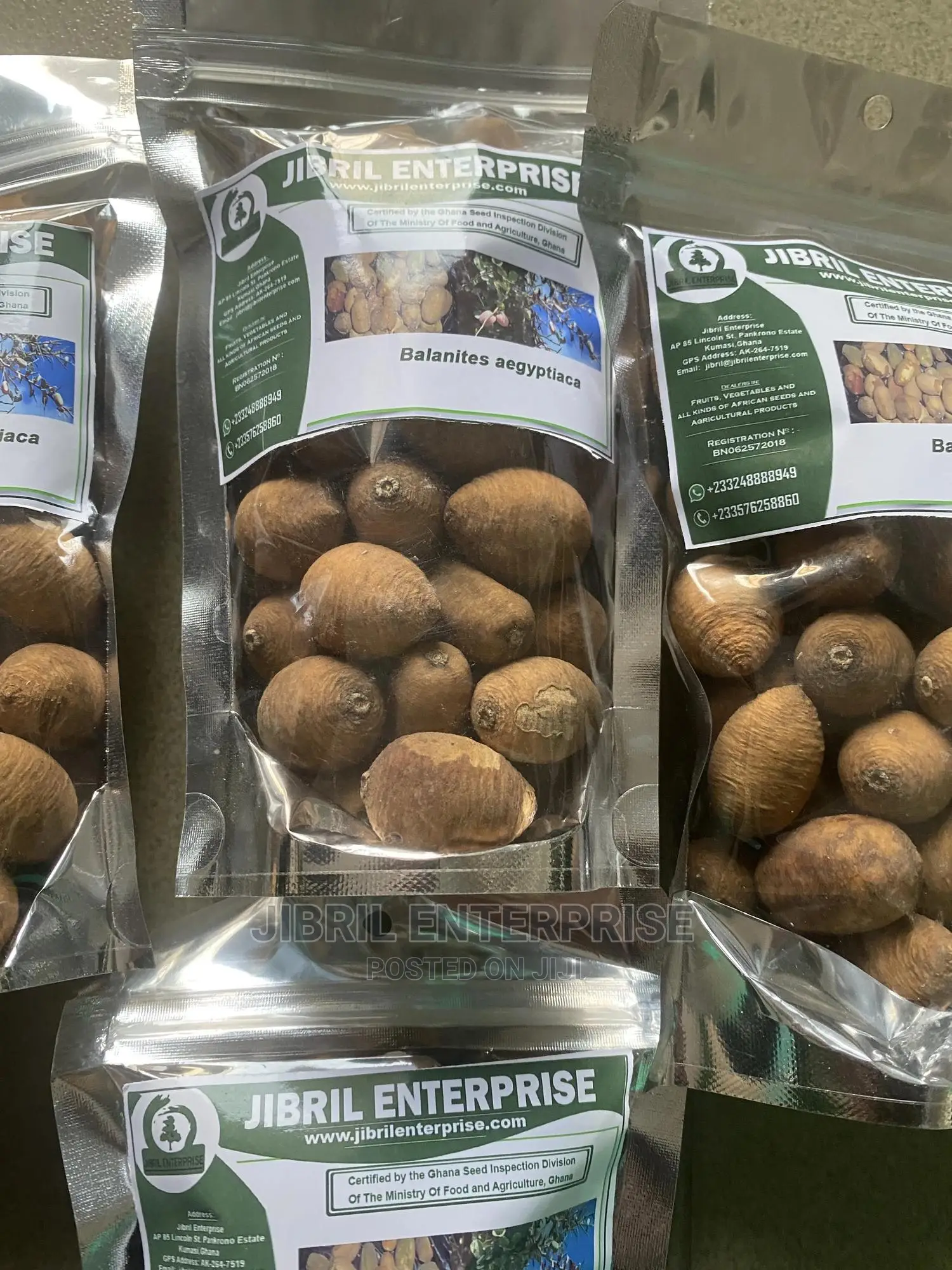 Balanites Aegyptiaca(Desert Dates)