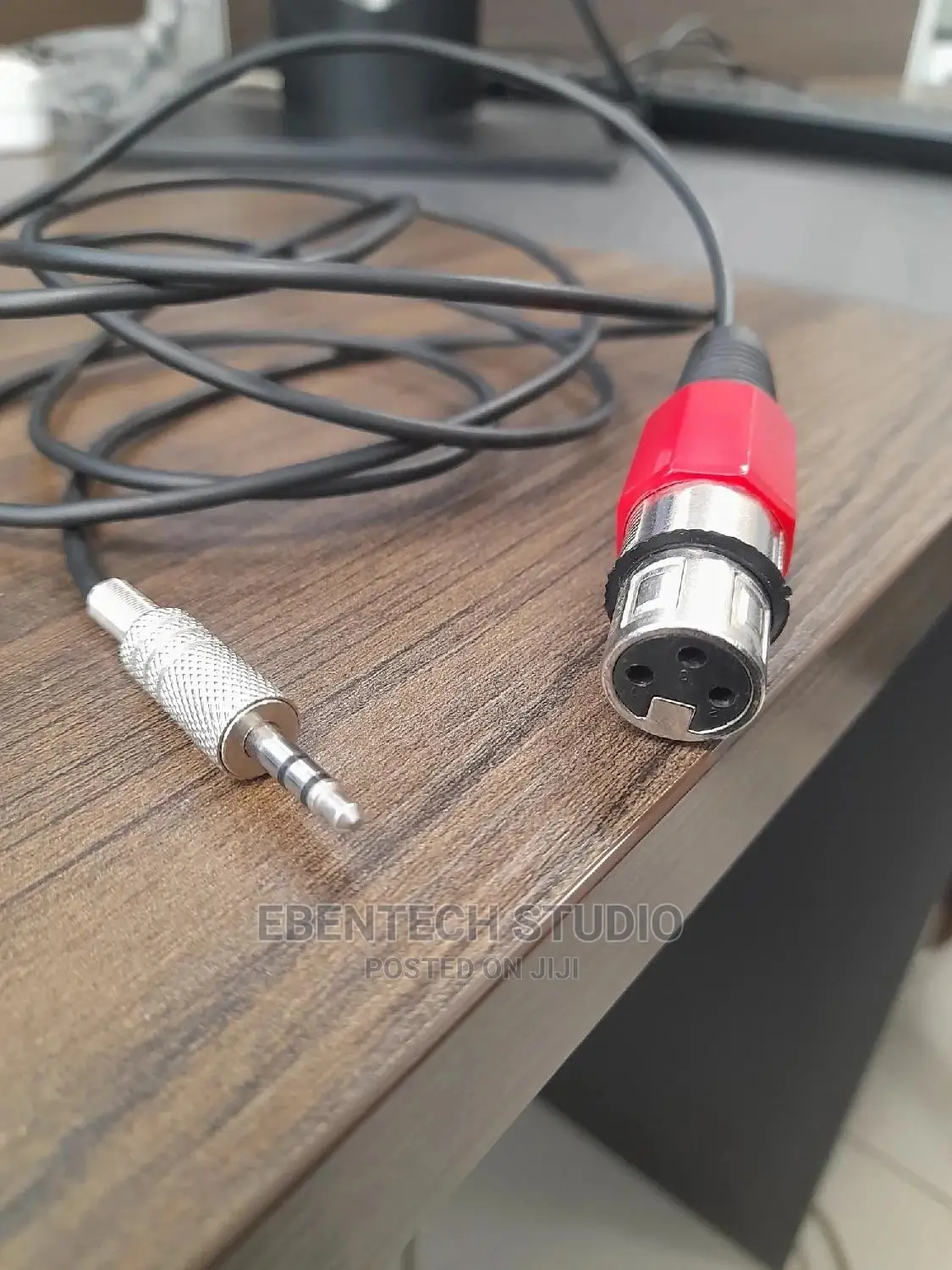 XLR to Mini Jack Cable