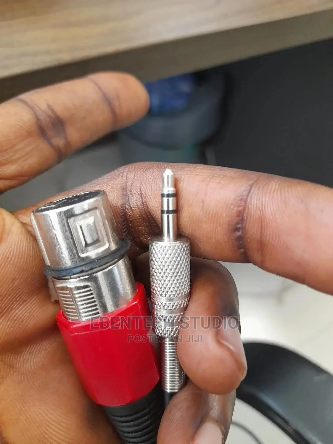 XLR to Mini Jack Cable