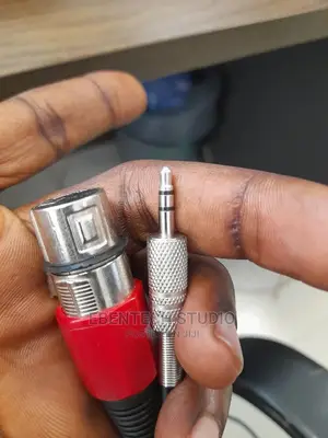 XLR to Mini Jack Cable