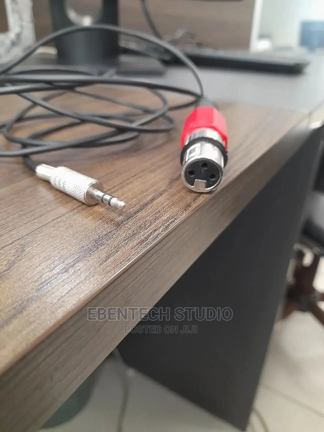 XLR to Mini Jack Cable
