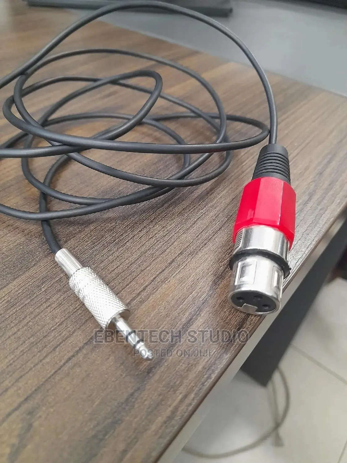 XLR to Mini Jack Cable