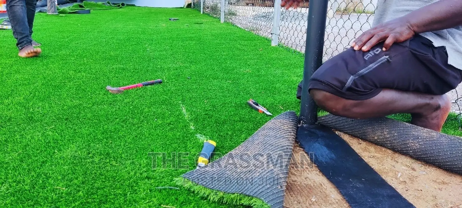 Green Grass For Modern Garden For Homes, Hotels