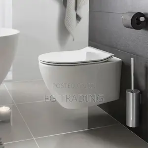 Concealed Wall Mounted Water Closet - Hanging WC