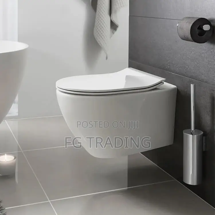 Concealed Wall Mounted Water Closet - Hanging WC