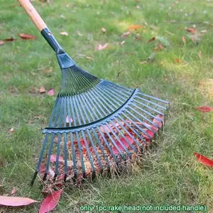 Courtyard Shrub Rakehead Lawn More Durable Garden Tool Grass
