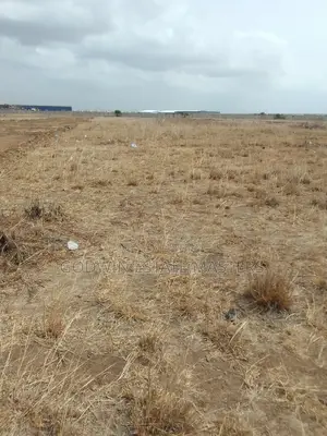 Genuine Flat Lands for Sale at Tsopoli