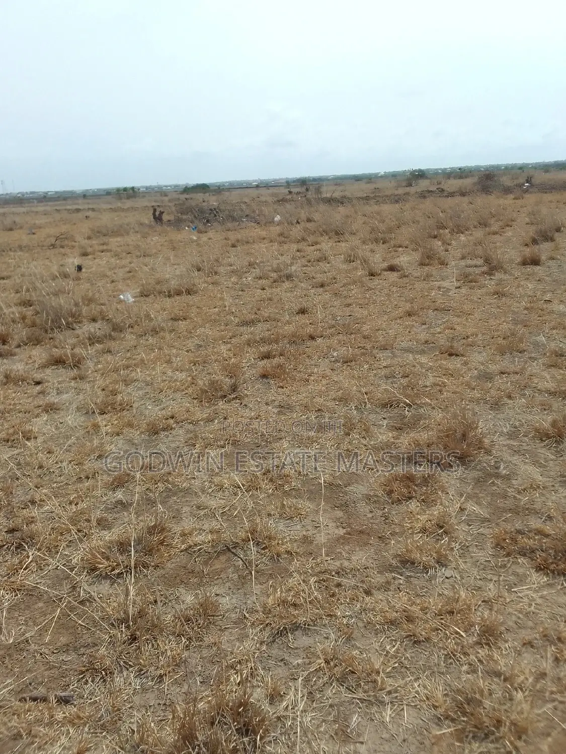 Genuine Flat Lands for Sale at Tsopoli