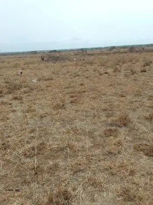 Genuine Flat Lands for Sale at Tsopoli